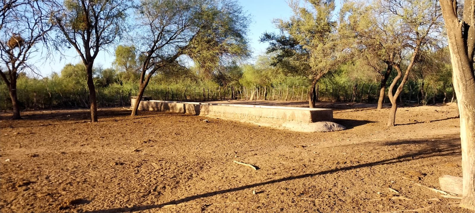 SE VENDE CAMPO EN PIEDRITAS BLANCAS DE 2545 HAS