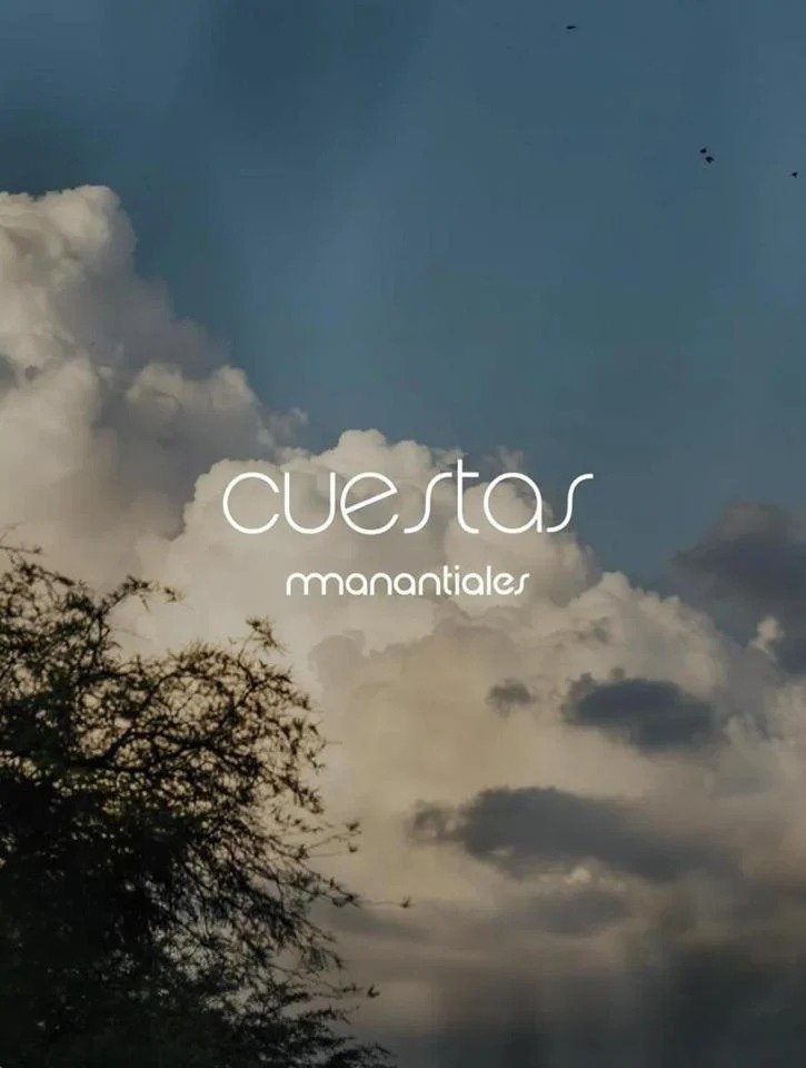 Se Vende Lote en Cuestas de Manantiales